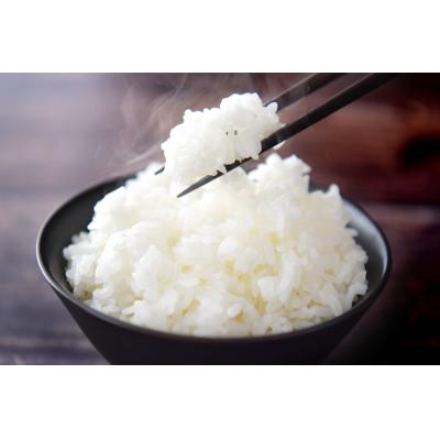 ふるさと納税 陸前高田市 先行受付 令和8年産 新米 ひとめぼれ 5kg 白米 米 お米 精米 お弁当 ふっくら もっちり |  | 01