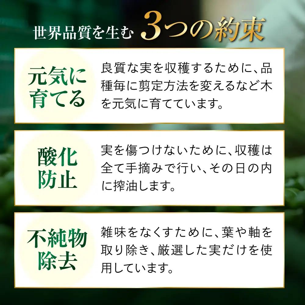【ふるなびWEEK対象】オリーブオイル ピュアオイル2本 オリーブオイル [XAJ020]