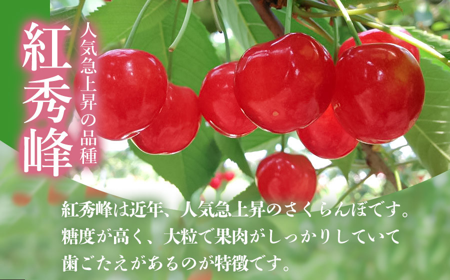 【令和8年産】 さくらんぼ　紅秀峰 2Lサイズ バラ詰め 1kg(500g×2P)　小林農園　| サクランボ チェリー 果物 くだもの フルーツ 1キロ 旬 人気 美味しい 2026年産 お取り寄せ 