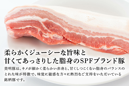 美明豚　バラスライス　1.4kg（茨城県共通返礼品・行方市産）