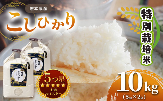 特別栽培米 熊本県産 こしひかり 10kg  ( 5kg ×2）| 米 お米 こしひかり コシヒカリ 10㎏ 5㎏ 有機肥料 栽培期間中農薬不使用 熊本県産 