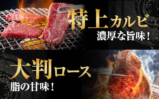 三角バラ肉入り！佐賀牛焼肉セット（カルビ・ロース×900g）つるや食品