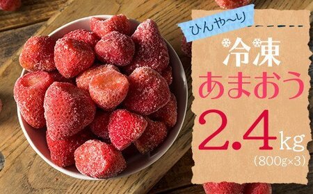 【冷凍】博多　あまおう　2.4kg（800g×3袋） 2L2-S1