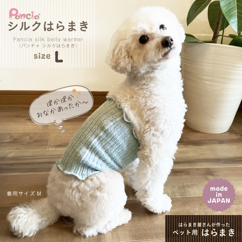 日本製 pancia シルク 腹巻 Lサイズ 【ベージュ＋ブラウン】 犬用 ／ はらまき 保温 まちづくり観光振興機構 ドッグウェア ペット服 ペット腹巻 冷え防止 ドッグシャツ 奈良県 田原本町
