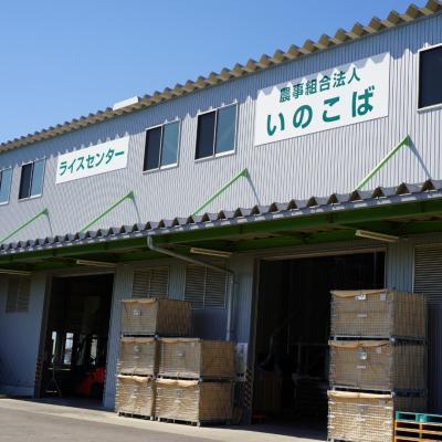 ふるさと納税 三条市 先行受付 新潟県三条市産 コシヒカリ(従来種) 精米 5kg 令和7年産 【015S196】 |  | 03