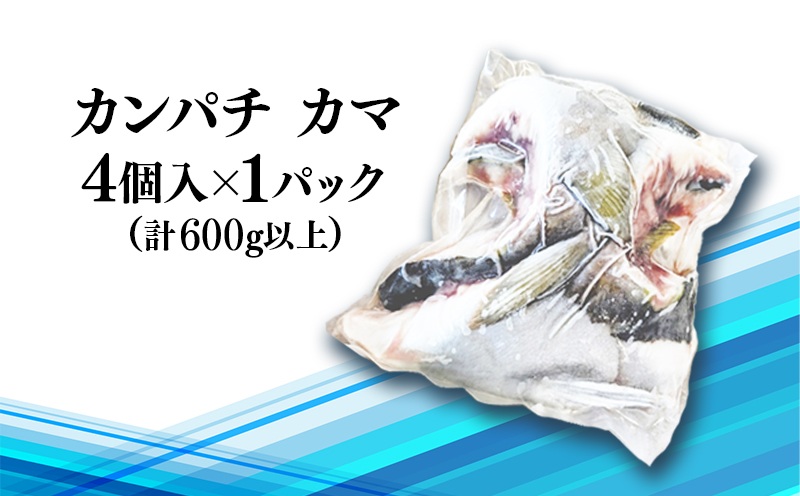 W-0102／垂水カンパチ『海の桜勘』 カマ 4個（計600g以上）