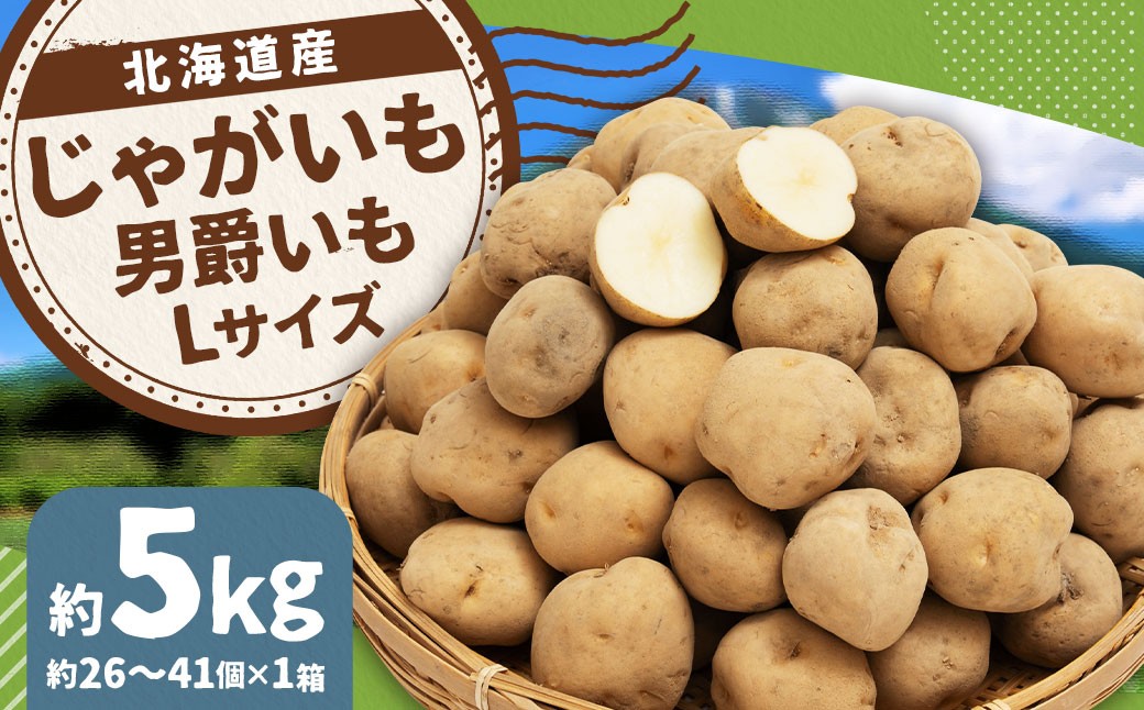 
            じゃがいも （男爵）  Lサイズ 約5kg × 1箱 約5kg （JA） 【2025年9月下旬～2026年2月下旬迄発送予定】 だんしゃく ジャガイモ 芋 いも 野菜 やさい ほくほく 北海道 京極町 常温
          