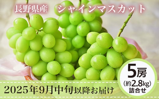 
            J0820 長野市産シャインマスカット5房（約2.8kg）【2025年9月中旬以降の出荷分】（本気農場いけだ）
          
