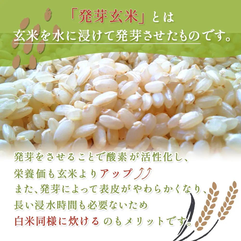 【3回定期便】【スーパー玄米！発芽発酵玄米】合鴨農法ななつぼし  【有機肥料/無農薬・無化学肥料･備蓄用】令和7年度米 1.8kg(450g×4袋) 水田環境鑑定・米食味鑑定士鑑定米【Yesclean