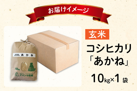 【先行予約】【令和6年産 新米】福井県大野市産 JGAP認証 コシヒカリ「あかね」（玄米）10kg