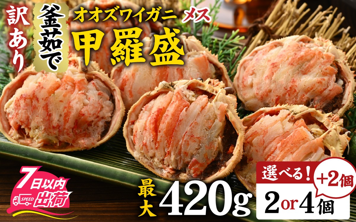 
                  選べる容量！【訳あり】釜茹で 蟹好き集まれ！オオズワイガニ（メス）甲羅盛セット [A-096035-oya] / 甲羅盛り カニ かに 蟹 オオズワイガニ むき身 茹でガニ カニボイル 茹で蟹 ボイル 茹で ズワイガニ 冷凍 かに酢 国産 カニ足 カニ脚 蟹脚 海鮮 楚蟹 蟹味噌 かに味噌
                