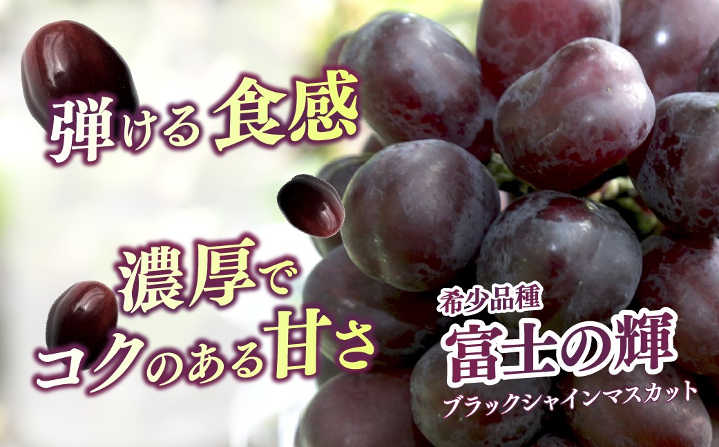ぶどう 巨峰 葡萄 グレープ 果物 フルーツ 甘い おいしい 旬