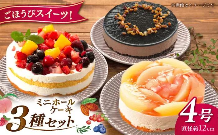 ホールケーキ 3種 フルーツ / チョコムース / レアチーズ 糸島市 / 五洋食品産業 [AQD017]  ケーキ 冷凍