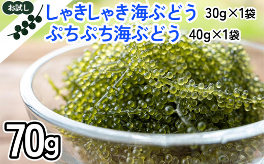 
【お試し】ふくらむぷちぷち海ぶどうセット　塩水タイプ　70g
