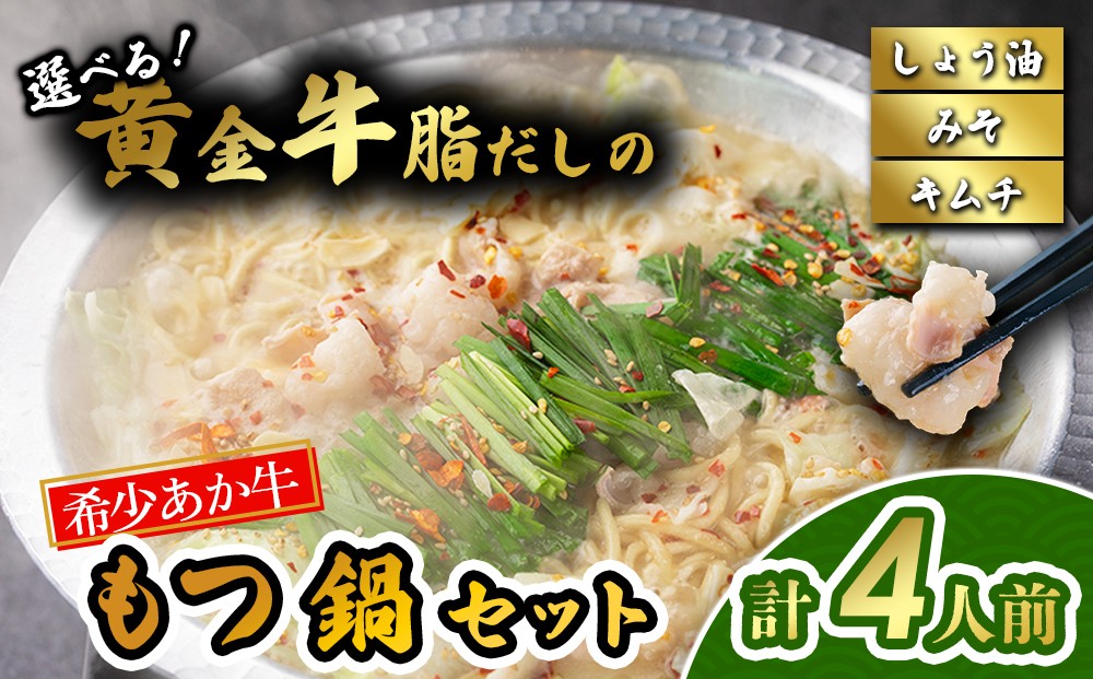 
            【 選べるスープ】阿蘇はなびし あか牛もつ鍋セット（しょうゆ・みそ・キムチ）もつ鍋 鍋 あか牛 麵付き お取り寄せ 冷凍 お土産 ギフト 贈答用 晩ご飯 夕食 簡単 セット 手軽 熊本県 阿蘇市
          