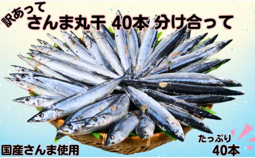 さんま サンマ 秋刀魚 40尾 訳あって さんま丸干 40本 分け合って 訳あり さんま 丸干し 10000円 冷凍 さんま サンマ 秋刀魚 無添加 国産 北海道産 さんま 国内加工 銚子 海の幸 海鮮 干物 冷凍 新鮮 贈り物 ギフト お取り寄せ 人気 グルメ ビール 日本酒 酒 おつまみ 酒の肴 敬老の日 千葉県 銚子市 ヤマニンベン 