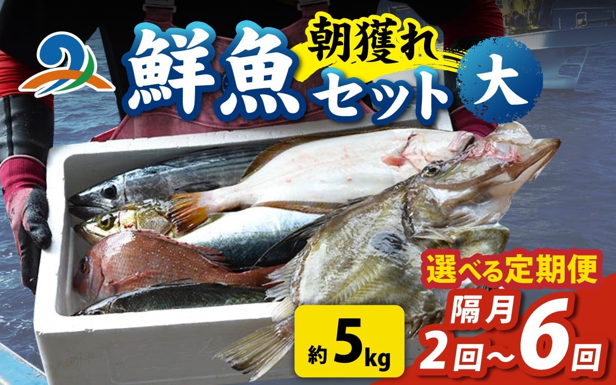 
            【選べる定期便　隔月２回～６回】【朝獲り】漁師厳選 鮮魚セット (大) 5種類以上 約5kg 魚 詰め合わせ 新鮮 煮物 焼き物 お造り 刺身 晩酌 食卓 BBQ 急速冷凍 真空パック 鮮魚セット 詰合せ 鮮魚店 厳選 お任せ 鮮度 産直 海鮮 加熱用 福井県 南越前町 越前 盛り合わせ おまかせ お楽しみ おつまみ おかず ご飯のお供 送料無料 
          