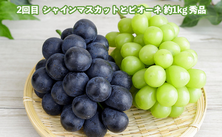 【定期便3回】どれも美味しい 山形フルーツ 贅沢5種便【令和8年産先行予約】FS25-122