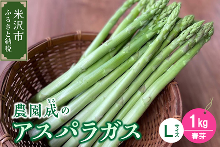 《 先行予約 》【 令和7年産 春芽 】 アスパラガス L 1kg （ 太物 L以上 ）〔 2025年5月中旬頃 ～ 発送予定 〕 アスパラ 野菜 農園成 産地直送 農家直送 2025年産