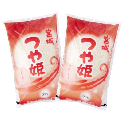 2023年7月発送開始『定期便』宮城県登米市産つや姫精米5kg×2個(隔月)全6回【5131519】