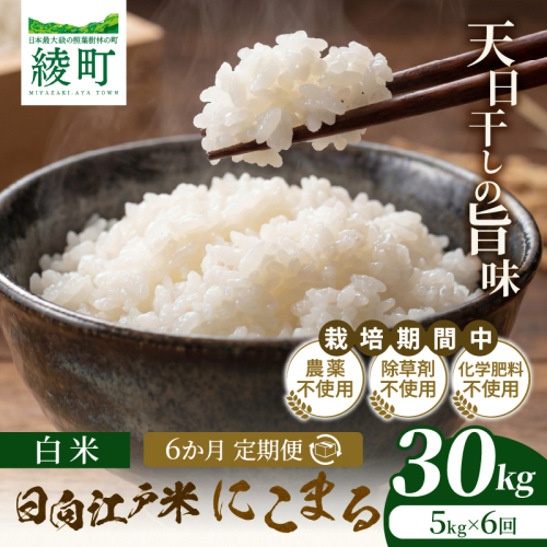 【6か月定期便】天日干しが引き出す お米の旨味 日向江戸米（にこまる）【白米】合計30kg 国産米 ブランド米 農薬不使用 化学肥料不使用 無農薬 ごはん ご飯 おにぎり お弁当 冷めても美味しい もっちり食感 和食 主食 人気 おすすめ 宮崎県 綾町 送料無料_A0038-027