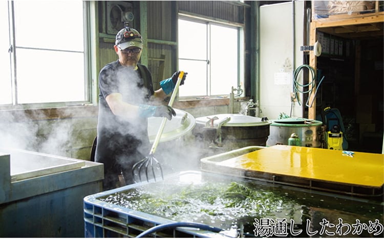 瀬戸内で採れた島磯香る わかめ 22g×6袋と ひじき 28g×6袋 セット【岡山 瀬戸内海 鉄釜炊 天然】