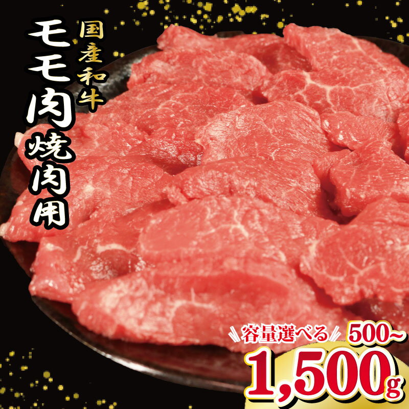 【ふるさと納税】 牛肉 もも 冷凍 500g から 1.5kg えらべる容量 焼肉 国産和牛 和牛 焼肉 赤身 にく ぎゅう うし もも肉 バーベキュー BBQ やきにく お祝い イベント パーティー おかず おつまみ 贈答 プレゼント 徳島県 吉野川市