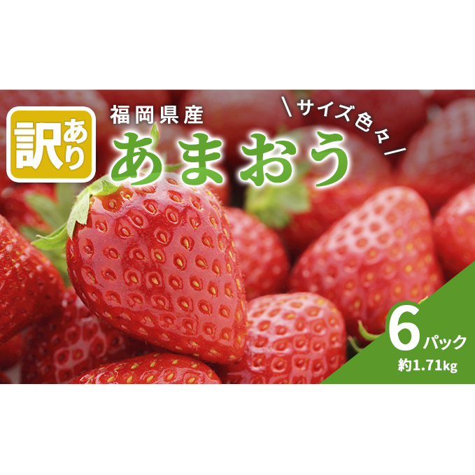 訳あり いちご 2027年2月中旬より発送 あまおう サイズ色々 6パック 約1.71kg 果物 フルーツ 福岡県産あまおう※配送不可：離島