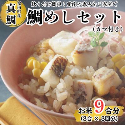 ふるさと納税 愛南町 鯛めしセット (180g×3パック) カマ付き まだい 鯛 ダイスカット 愛南町愛南サン・フィッシュ