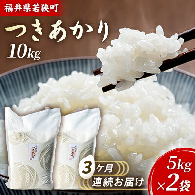 【ふるさと納税】3ケ月連続 福井県若狭町 つきあかり （一等米） 10kg（5kg×2）（神谷農園） お米 ブランド米 銘柄米 ご飯 おにぎり お弁当 産地直送 和食 主食 　お届け：2025年10月より順次出荷致します。
