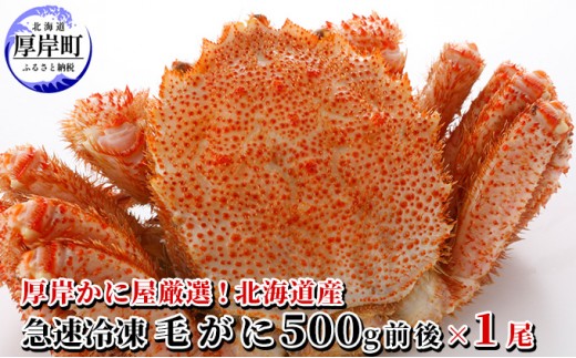 
                  カニ かに屋厳選 北海道産 急速冷凍 毛ガニ 500前後 1尾【馬場商店】[ カニ 蟹 毛ガニ かに 魚介 毛蟹 ]  [№5863-1001]
                