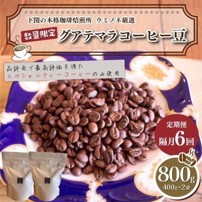 ふるさと納税 下関市 【定期便】【豆】 訳あり グアテマラコーヒー豆 800g 隔月6回 EW186