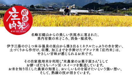 【先行予約】迎春用・杵つき餅（50個）※12/25～12/26に出荷｜丸餅 もち 正月