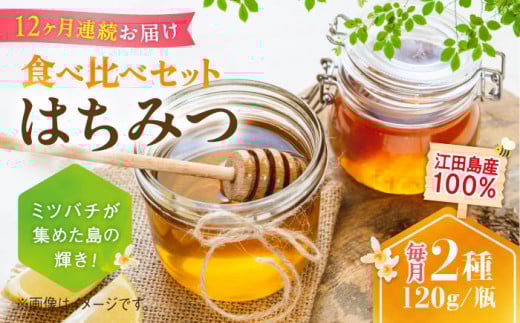 【全12回定期便】江田島産100％ はちみつ 2種食べ比べセット（120g×3本） ハチミツ 蜂蜜 国産 広島 江田島市/はつはな果蜂園 [XCD029] ハチミツ 国産蜂蜜 国産はちみつ 国産純粋はちみつ 蜜 蜂蜜 はちみつ ハニー honey 人気ハチミツ 日本蜜蜂 純粋はちみつ 常温 保存 備蓄 防災食 非常食 保存食 産地直送 国産 定期便