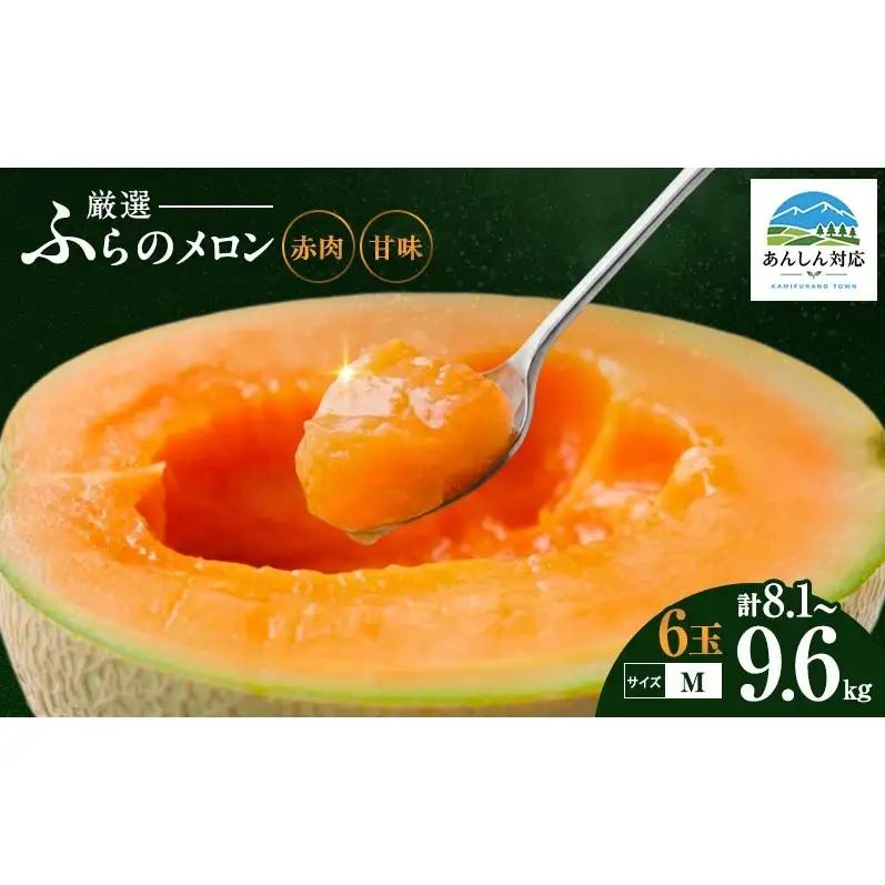 赤肉メロン ファーム富良野 北海道産 赤肉メロン【6玉 各1.35〜1.6kg Mサイズ】