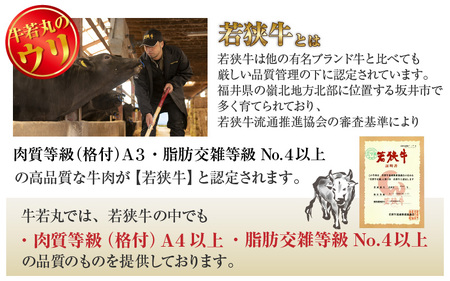 若狭牛 極上 赤身ステーキ詰合せ ヒレステーキ・モモステーキ 各4枚 《発送直前にカットで新鮮！》／ 国産 牛肉 A4 A5 ブランド牛 ギフト カット 肉 ステーキ ヒレ モモ 赤身