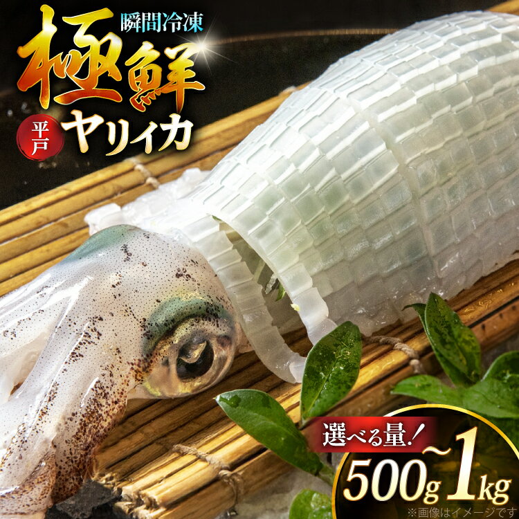 【ふるさと納税】【楽天限定寄附額 約500g 10,800円】 イカ 刺身 極鮮ヤリイカ 選べる量 500g 1kg [海隆丸 長崎県 平戸市 hr42bgy400118-o] ヤリイカ 新鮮 海鮮 魚介 瞬間冷凍 冷凍 コリコリ 直送 冷凍 個包装 真空パック 1キロ