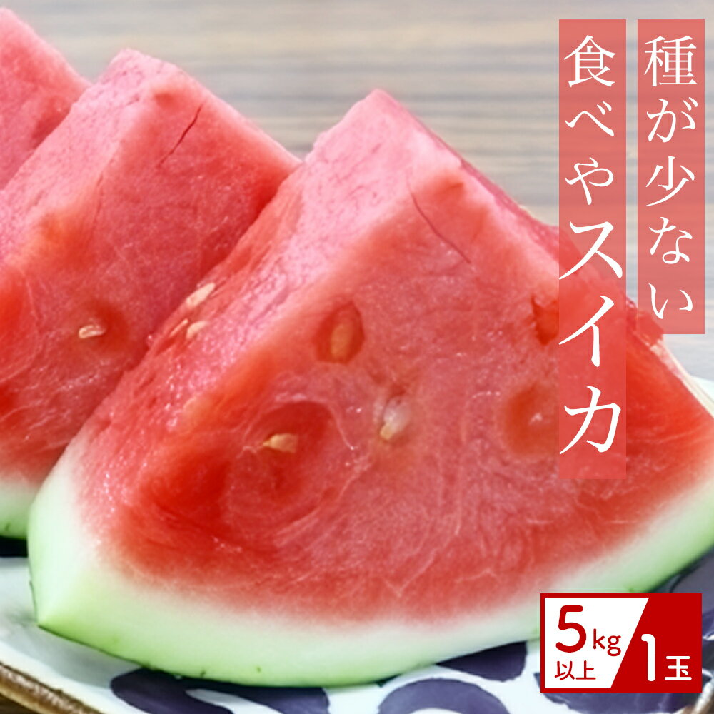 【ふるさと納税】【（有）今帰仁すいか】種が少ない食べやスイカ　5kg【2026年3月下旬～5月頃発送】