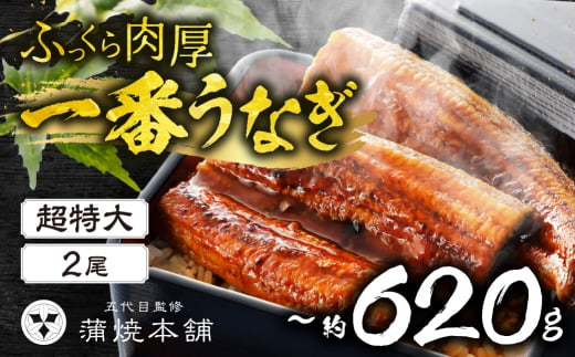 ふっくら肉厚！『一番うなぎ』 超特大 2尾 国産うなぎ蒲焼