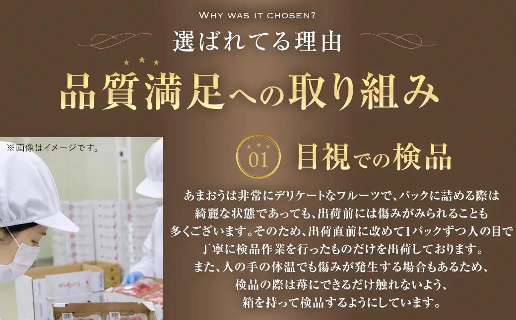 博多 あまおう 6パック（春）【2027年2月上旬～2027年4月下旬発送予定】