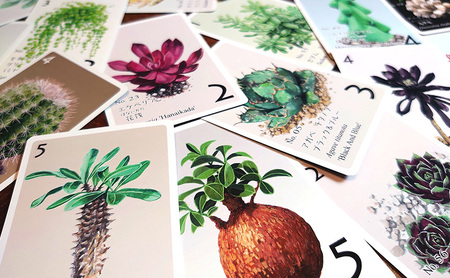 カードゲーム サキュレント・ガーデン ゲーム ボードゲーム テーブルゲーム アナログゲーム ボドゲ オリジナル シンプル 愛知県 日進市