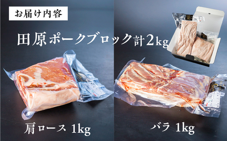 国産 豚肉 ブロック 肩ロース・バラ 食べ比べ 1kg×2 計2kg 田原ポーク  | 豚肉 ブロック肉 豚肉 ブロック肉 豚肉 ブロック肉 豚肉 ブロック肉