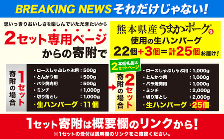 数量限定★生産者応援★ 豚肉 小分け バラエティセット9.2kg+300g うまかポーク《30日以内に出荷予定(土日祝除く)》｜豚肉豚肉豚肉豚肉豚肉豚肉豚肉豚肉豚肉豚肉豚肉豚肉豚肉豚肉豚肉豚肉豚肉豚肉