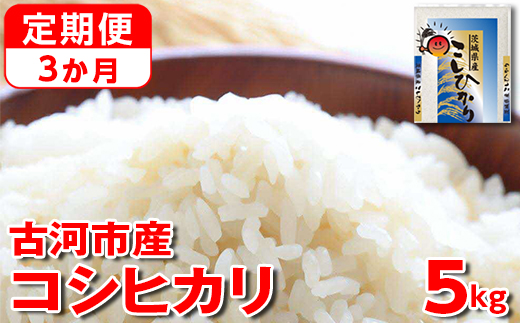 【新米】【定期便 3か月】令和6年産 古河市産コシヒカリ 5kg◇ | 米 こめ コメ 5キロ 定期便 こしひかり コシヒカリ 古河市産 茨城県産 贈答 贈り物 プレゼント 茨城県 古河市 直送 産地直送 送料無料 _DP34