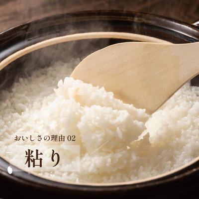 ふるさと納税 大町町 【先行予約】令和7年産 夢しずく 5kg(大町町)【29kg-0007】 |  | 03