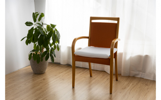 ブレスエアー（R）クッション ／ 座布団 ざぶとん 健康 埼玉県 No.286