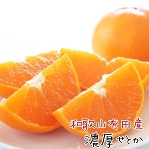 和歌山有田の濃厚せとか 約4～5kg ［先行予約］ | くだもの フルーツ 果実 果物 有田 みかん 和歌山　［MS80w］