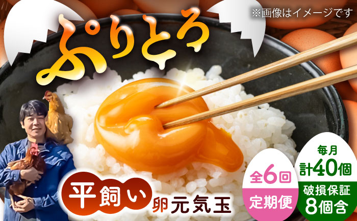 
            【全6回定期便】平飼い新鮮たまご 元気玉 計40個(10個×4パック) / 卵 ぷりぷり 新鮮 玉子 オムレツ たまごかけごはん 朝食 鶏卵 平飼い 濃厚 こく 熊本県 菊陽町【ぴよっこファーム】 [BHAP007]
          