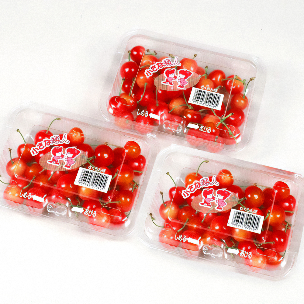 【先行予約】 ご家庭用 さくらんぼ 佐藤錦 秀品 M玉以上 約540g 令和8年産 2026年産 山形県産 フルーツ 果物 tf-snpsm540