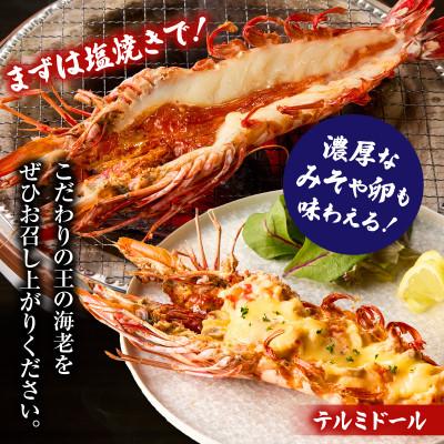 ふるさと納税 西尾市 【高級】超大型天然有頭タイガーえび　ハーフカット・K306 |  | 02